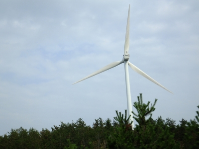再生可能エネルギーのひとつ、風力発電。風さえあれば、昼夜問わず発電が可能。